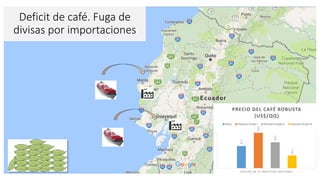 Cadena de café de la Amazonía Ecuatoriana