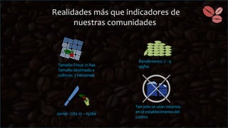 Cadena de café de la Amazonía Ecuatoriana
