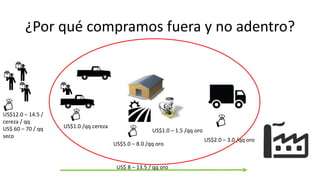Cadena de café de la Amazonía Ecuatoriana