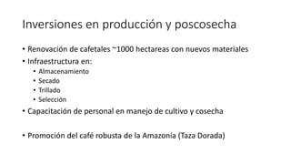 Cadena de café de la Amazonía Ecuatoriana