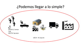 Cadena de café de la Amazonía Ecuatoriana