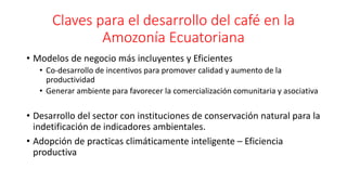 Cadena de café de la Amazonía Ecuatoriana
