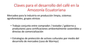 Cadena de café de la Amazonía Ecuatoriana