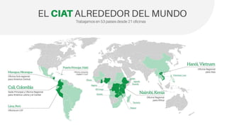 Cadena de café de la Amazonía Ecuatoriana