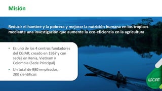 Cadena de café de la Amazonía Ecuatoriana