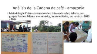 Cadena de café de la Amazonía Ecuatoriana