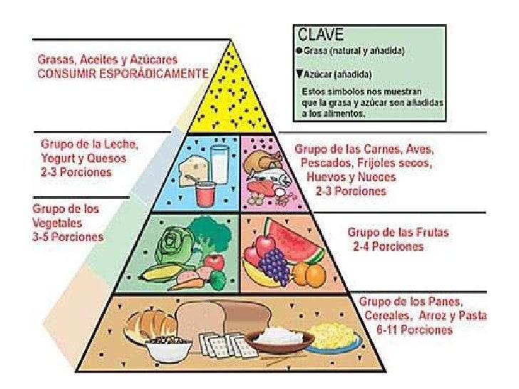 Cadena y piramides de alimentación