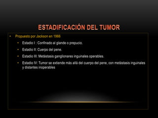 • Propuesto por Jackson en 1966
• Estadio I : Confinado al glande o prepucio.
• Estadio II: Cuerpo del pene.
• Estadio III: Metástasis ganglionares inguinales operables.
• Estadio IV: Tumor se extiende más allá del cuerpo del pene, con metástasis inguinales
y distantes inoperables
 