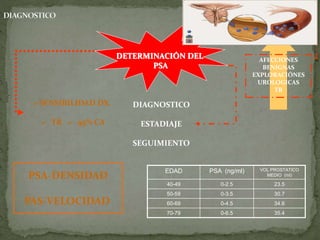 DETERMINACIÓN DEL
PSA
EDAD PSA (ng/ml) VOL PROSTATICO
MEDIO (ml)
40-49 0-2.5 23.5
50-59 0-3.5 30.7
60-69 0-4.5 34.6
70-79 0-6.5 35.4
> SENSIBILIDAD DX.
+ TR = 95% CA
AFECCIONES
BENIGNAS
EXPLORACIÓNES
UROLOGICAS
TR
DIAGNOSTICO
ESTADIAJE
SEGUIMIENTO
PSA-DENSIDAD
PAS-VELOCIDAD
 