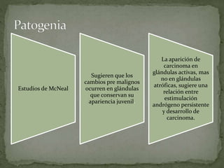 Estudios de McNeal
Sugieren que los
cambios pre malignos
ocurren en glándulas
que conservan su
apariencia juvenil.
La aparición de
carcinoma en
glándulas activas, mas
no en glándulas
atróficas, sugiere una
relación entre
estimulación
andrógeno persistente
y desarrollo de
carcinoma.
 