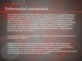 Enfermedad metastásica
 TRATAMIENTO ENDOCRINO INICIAL: la testosterona, principal andrógeno
  circulante es producida por las células de Leydig en los testículos (95%)y una
  cantidad menor se produce por la conversión periférica de otros esteroides.
  98% de la testosterona sérica está unida con proteína, la testosterona libre
  entra en las células prostáticas para convertirse en dihidrotestosterona (DHT)
  el principal andrógeno intracelular. Existen 4 agonistas LHRH: acetato de
  goserelina, pamoato de triptorelina, acetato de histrelina y acetato de
  leuprolida. Se pueden administrar por inyección mensual o preparación de
  depósito que dura 3 a 6 meses.

 Los estrógenos logran la castración por inhibición de la retroalimentación del
  eje hipotálamo-hipófisis.

 La glándula suprarrenal secreta los andrógenos dehidroepiandrosterona,
  sulfato de dehidroepiandrosterona y androstenediona. Para un bloqueo
  completo se usa la combinación de antiandrógeno con un agonista LHRH y
  orquiéctomía. Los antiandrógenos parecen actuar uniéndose
  competitivamente al receptor de la DHT, el andrógeno intracelular responsable
  por el crecimiento y desarrollo celular prostático.
 