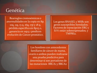 Genética
   Rearreglos cromosómicos o
anormalidades en la copia en 8p,        Los genes RNASEL y MSR1 son
   10q, 11q, 13 q, 16q, 17p y 18 q.     genes susceptibles heredados.
  pérdida específica en 8p23.2,         Factores de transcipción ERG y
   ganancia en 11q13.1 predicen          EtV1 están sobreexpresados, y
 evolución de Cáncer prostático.                   TMPRS2.




                      Los hombres con antecedentes
                      familiares de cáncer de mama,
                    ovario o ambos pueden realizarse
                        una prueba predictiva para
                     determinar si son portadores de
                     las mutaciones BRCA1 y BRCA2
 