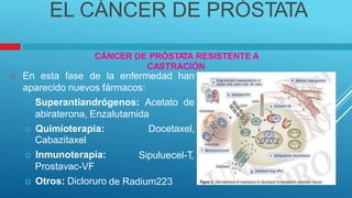 EL CÁNCER DE PRÓSTATA
CÁNCER DE PRÓSTA
TA RESISTENTE A
CASTRACIÓN
 En esta fase de la enfermedad han
aparecido nuevos fármacos:
 Superantiandrógenos: Acetato de
abiraterona, Enzalutamida
 Quimioterapia:
Cabazitaxel
 Inmunoterapia:
Prostavac-VF
 Otros: Dicloruro
Docetaxel,
Sipuluecel-T
,
de Radium223
 
