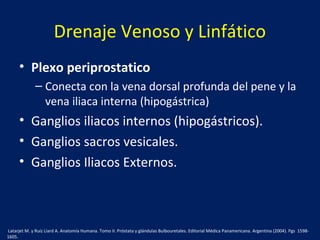 Drenaje Venoso y Linfático
• Plexo periprostatico
– Conecta con la vena dorsal profunda del pene y la
vena iliaca interna (hipogástrica)
• Ganglios iliacos internos (hipogástricos).
• Ganglios sacros vesicales.
• Ganglios Iliacos Externos.
Latarjet M. y Ruíz Liard A. Anatomía Humana. Tomo II. Próstata y glándulas Bulbouretales. Editorial Médica Panamericana. Argentina (2004). Pgs 1598-
1605.
 