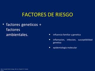 FACTORES DE RIESGO
• factores geneticos +
factores
ambientales. • influencia familiar y genetica
• inflamacion, infeccion, susceptibilidad
genetica
• epidemiologia molecular
Wein: Campbell-Walsh Urology, 10th. ed.; Chapter 95 - Prostate
Cancer
 