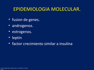• fusion de genes.
• androgenos.
• estrogenos.
• leptin
• factor crecimiento similar a insulina
EPIDEMIOLOGIA MOLECULAR.
Wein: Campbell-Walsh Urology, 10th. ed.; Chapter 95 - Prostate
Cancer
 