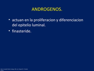 ANDROGENOS.
• actuan en la proliferacion y diferenciacion
del epitelio luminal.
• finasteride.
Wein: Campbell-Walsh Urology, 10th. ed.; Chapter 95 - Prostate
Cancer
 