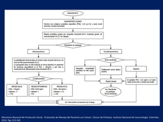 Ministerio Nacional de Protección Social. Protocolos de Manejo del Paciente con Cáncer. Cáncer de Próstata. Instituto Nacional de Cancerología. Colombia.
2010. Pgs 313-342.
 