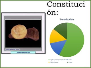 Constituci
ón:
Constitución
Tejido cartilaginoso maduro Grasa
Tejido fibroso Vasos
 
