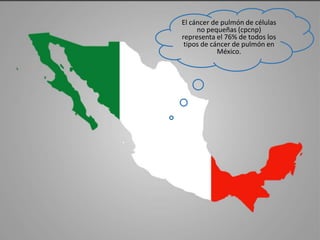 El cáncer de pulmón de células
no pequeñas (cpcnp)
representa el 76% de todos los
tipos de cáncer de pulmón en
México.
 