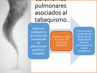 Carcinomas
pulmonares
asociados al
tabaquismo…
Aparecen
mediante la
acumulación
escalonada
de
alteraciones
genéticas
múltiples
Pueden ser miles
en el caso del
carcinoma
microcítico
Culminan en la
transformación
de las células
progenitoras
benignas
pulmonares en
células
neoplásicas.
 