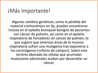 ¡Más Importante!
Algunos cambios genéticos, como la pérdida del
material cromosómico en 3p, pueden encontrarse
incluso en el epitelio bronquial benigno de pacientes
con cáncer de pulmón, así como en el epitelio
respiratorio de fumadores sin cáncer de pulmón, lo
que sugiere que extensas áreas de la mucosa
respiratoria sufren una mutagenia tras exponerse a
los carcinógenos («efecto de campo»). Sobre este
terreno abonado las células que acumulan
mutaciones adicionales acaban por desarrollar un
cáncer.
 