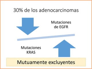 30% de los adenocarcinomas
Mutaciones
de EGFR
Mutaciones
KRAS
Mutuamente excluyentes
 