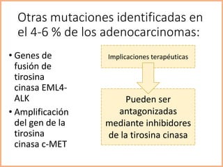 Otras mutaciones identificadas en
el 4-6 % de los adenocarcinomas:
• Genes de
fusión de
tirosina
cinasa EML4-
ALK
• Amplificación
del gen de la
tirosina
cinasa c-MET
Implicaciones terapéuticas
Pueden ser
antagonizadas
mediante inhibidores
de la tirosina cinasa
 