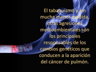 El tabaquismo y, en
mucha menor medida,
otras agresiones
medioambientales son
los principales
responsables de los
cambios genéticos que
conducen a la aparición
del cáncer de pulmón.
 
