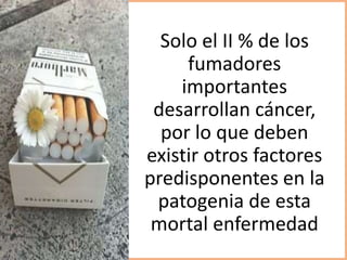 Solo el II % de los
fumadores
importantes
desarrollan cáncer,
por lo que deben
existir otros factores
predisponentes en la
patogenia de esta
mortal enfermedad
 