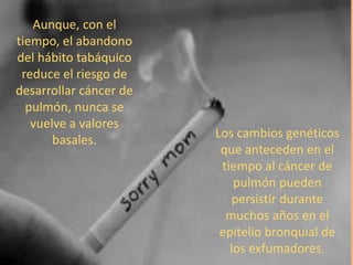 Aunque, con el
tiempo, el abandono
del hábito tabáquico
reduce el riesgo de
desarrollar cáncer de
pulmón, nunca se
vuelve a valores
basales.
Los cambios genéticos
que anteceden en el
tiempo al cáncer de
pulmón pueden
persistir durante
muchos años en el
epitelio bronquial de
los exfumadores.
 