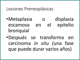 Lesiones Preneoplásicas
•Metaplasia o displasia
escamosa en el epitelio
bronquial
•Después se transforma en
carcinoma in situ (una fase
que puede durar varios años)
 