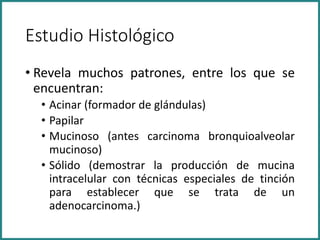 Estudio Histológico
• Revela muchos patrones, entre los que se
encuentran:
• Acinar (formador de glándulas)
• Papilar
• Mucinoso (antes carcinoma bronquioalveolar
mucinoso)
• Sólido (demostrar la producción de mucina
intracelular con técnicas especiales de tinción
para establecer que se trata de un
adenocarcinoma.)
 