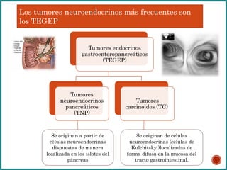 Tumores endocrinos
gastroenteropancreáticos
(TEGEP)
Tumores
neuroendocrinos
pancreáticos
(TNP)
Tumores
carcinoides (TC)
Los tumores neuroendocrinos más frecuentes son
los TEGEP
Se originan a partir de
células neuroendocrinas
dispuestas de manera
localizada en los islotes del
páncreas
Se originan de células
neuroendocrinas (células de
Kulchitsky )localizadas de
forma difusa en la mucosa del
tracto gastrointestinal.
 
