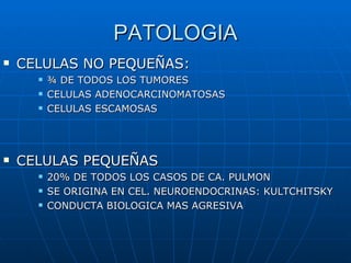 PATOLOGIA CELULAS NO PEQUEÑAS: ¾ DE TODOS LOS TUMORES CELULAS ADENOCARCINOMATOSAS CELULAS ESCAMOSAS CELULAS PEQUEÑAS 20% DE TODOS LOS CASOS DE CA. PULMON SE ORIGINA EN CEL. NEUROENDOCRINAS: KULTCHITSKY CONDUCTA BIOLOGICA MAS AGRESIVA 