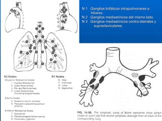 N 1 Ganglios linfáticos intrapulmonares e
    hiliares.
N 2 Ganglios mediastínicos del mismo lado.
N 3 Ganglios mediastínicos contra laterales y
      supraclaviculares.
 