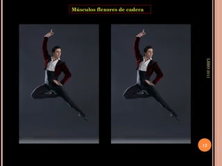 LBRO 2011 Músculos flexores de cadera 