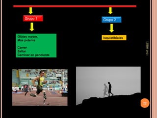 LBRO 2011 Grupo 1 Grupo 2 Glúteo mayor. Más potente Correr Saltar Caminar en pendiente  Isquiotibiales 