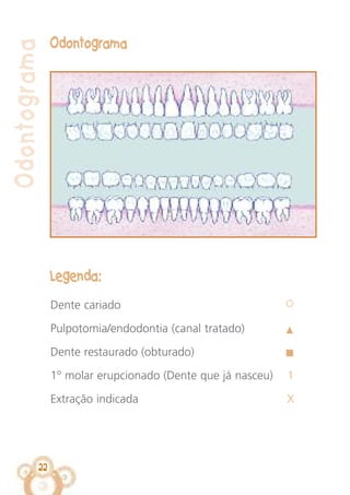 22
Odontograma
Odontograma
Legenda:
Dente cariado
Pulpotomia/endodontia (canal tratado)
Dente restaurado (obturado)
1º molar erupcionado (Dente que já nasceu) 1
Extração indicada X
 