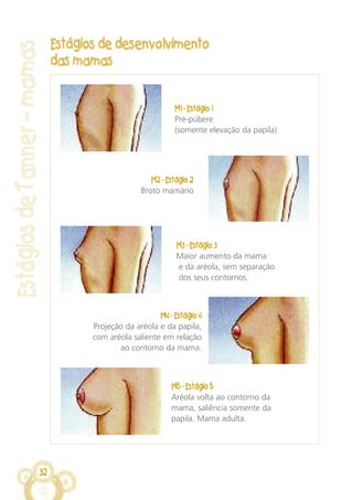 32
Estágios de desenvolvimento
das mamas
EstágiosdeTanner–mamas
M1 - Estágio 1
Pré-púbere
(somente elevação da papila)
M2 - Estágio 2
Broto mamário
M3 - Estágio 3
Maior aumento da mama
e da aréola, sem separação
dos seus contornos.
M4 - Estágio 4
Projeção da aréola e da papila,
com aréola saliente em relação
ao contorno da mama.
M5 - Estágio 5
Aréola volta ao contorno da
mama, saliência somente da
papila. Mama adulta.
 