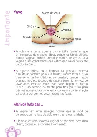 38
Importante
Vulva
• A vulva é a parte externa da genitália feminina, que
é composta de grandes lábios, pequenos lábios, clitóris,
orifício vaginal, orifício uretral e monte de vênus. Já a
vagina é um canal muscular elástico que vai da vulva até
o colo do útero.
• A higiene íntima ou a limpeza da genitália externa
é muito importante para sua saúde. Procure lavar a vulva
durante o banho diário e, se possível, também após
evacuar, não esquecendo de secá-la bem. Se em vez de
lavar após evacuar, você usar papel higiênico, faça-o
SEMPRE no sentido da frente para trás (da vulva para
o ânus), nunca ao contrário, evitando assim a contaminação
da vagina por germes encontrados nas fezes.
Além de tudo isso ...
• A vagina tem uma secreção normal que se modifica
de acordo com a fase do ciclo menstrual e com a idade.
• E lembre-se: uma secreção vaginal de cor clara, sem mau
cheiro, coceira ou ardor não é corrimento.
Monte de vênus
Clitóris
Vagina
Uretra
Pequenos lábios
Grandes lábios
Ânus
 