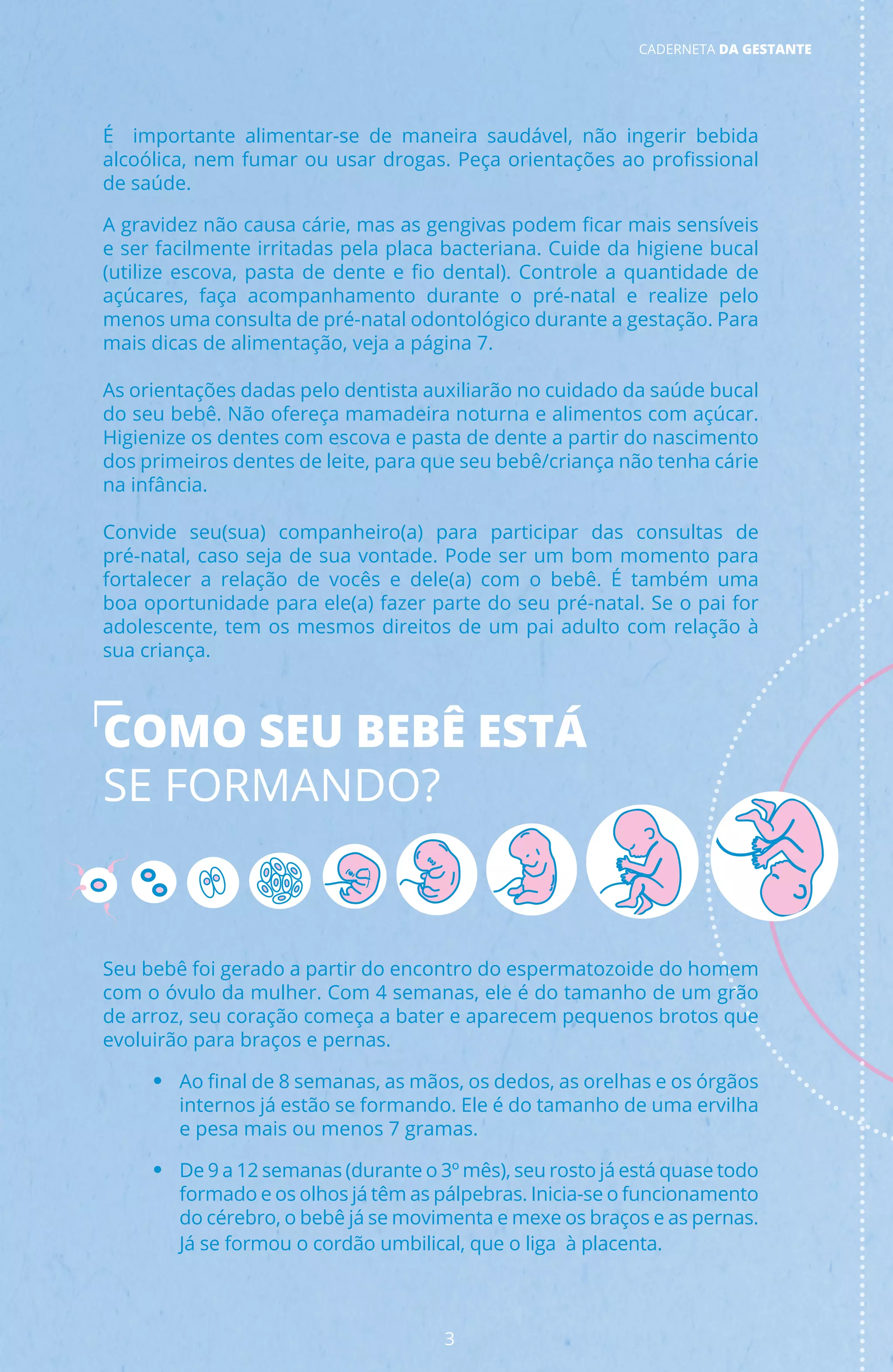 CADERNETA da GESTANTE: 8a edição / 2023 | PDF