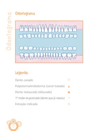 22
Odontograma
Odontograma
Legenda:
Dente cariado
Pulpotomia/endodontia (canal tratado)
Dente restaurado (obturado)
1º molar erupcionado (dente que já nasceu) 1
Extração indicada X
CARTILHA MENINOS 17_4:Layout 1 24/05/2012 13:59 Page 22
 