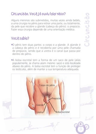 35
Circuncisão
Circuncisão. Você já ouviu falar nisso?
Alguns meninos são submetidos, muitas vezes ainda bebês,
a uma cirurgia no pênis para retirar uma parte, ou totalmente,
da pele que recobre a glande (cabeça do pênis): o prepúcio.
Fazer essa cirurgia depende de uma orientação médica.
Você sabia?
• O pênis tem duas partes: o corpo e a glande. A glande é
a cabeça do pênis e é recoberta por uma pele chamada
de prepúcio, sendo que a uretra é o canal que passa por
dentro do pênis.
• A bolsa escrotal tem a forma de um saco de pele (aliás
popularmente, se chama assim mesmo: saco) e está localizada
abaixo do pênis. A bolsa escrotal tem a função de proteger
os testículos, além de manter a sua temperatura adequada.
Corpo do pênis
Glande
Prepúcio
Bolsa escrotalUretra
CARTILHA MENINOS 17_4:Layout 1 24/05/2012 13:59 Page 35
 
