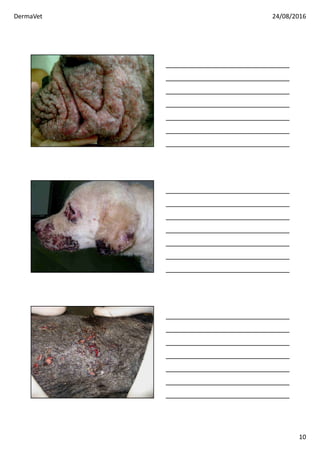 DermaVet 24/08/2016
10
 