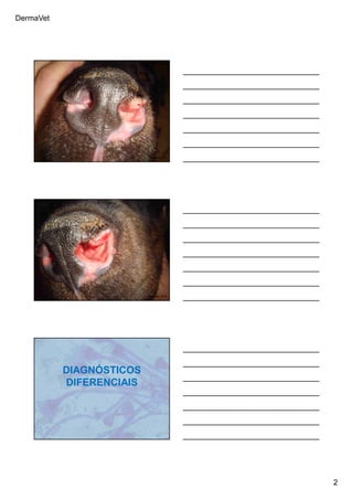 DermaVet
2
Ferreira, R.R.
Ferreira, R.R.
DIAGNÓSTICOS
DIFERENCIAIS
 