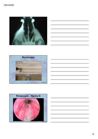 DermaVet
8
Ferreira, R.R.
Rinoscopia
Ferreira, R.R.
Rinoscopia – Narina E
Ferreira, R.R.
 