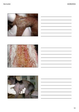 DermaVet 24/08/2016
11
 