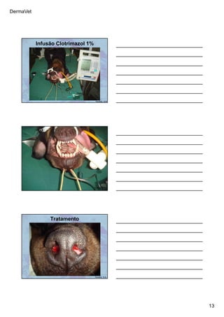 DermaVet
13
Infusão Clotrimazol 1%
Ferreira, R.R.
Ferreira, R.R.
Tratamento
Ferreira, R.R.
 
