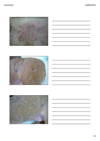 DermaVet 24/08/2016
15
 